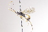  ( - CollHH4063)  @11 [ ] Creative Commons  Attribution Non-Commercial Share-Alike (2025) Hakon Haraldseide Unspecified