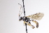  ( - CollHH4075)  @11 [ ] Creative Commons  Attribution Non-Commercial Share-Alike (2025) Hakon Haraldseide Unspecified
