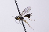  ( - CollHH4088)  @11 [ ] Creative Commons  Attribution Non-Commercial Share-Alike (2024) Hakon Haraldseide Unspecified