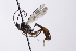  ( - CollHH4097)  @11 [ ] Creative Commons  Attribution Non-Commercial Share-Alike (2024) Hakon Haraldseide Unspecified