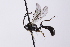  ( - CollHH4098)  @11 [ ] Creative Commons  Attribution Non-Commercial Share-Alike (2024) Hakon Haraldseide Unspecified