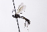  ( - CollHH4101)  @11 [ ] Creative Commons  Attribution Non-Commercial Share-Alike (2024) Hakon Haraldseide Unspecified