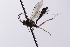  ( - CollHH4129)  @11 [ ] Creative Commons  Attribution Non-Commercial Share-Alike (2024) Hakon Haraldseide Unspecified