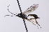  ( - CollHH4131)  @11 [ ] Creative Commons  Attribution Non-Commercial Share-Alike (2024) Hakon Haraldseide Unspecified