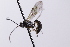  ( - CollHH4132)  @11 [ ] Creative Commons  Attribution Non-Commercial Share-Alike (2024) Hakon Haraldseide Unspecified