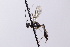  ( - CollHH4133)  @11 [ ] Creative Commons  Attribution Non-Commercial Share-Alike (2024) Hakon Haraldseide Unspecified