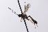  ( - CollHH4134)  @11 [ ] Creative Commons  Attribution Non-Commercial Share-Alike (2024) Hakon Haraldseide Unspecified
