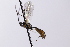  ( - CollHH4135)  @11 [ ] Creative Commons  Attribution Non-Commercial Share-Alike (2024) Hakon Haraldseide Unspecified