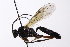  ( - CollHH4150)  @11 [ ] Creative Commons  Attribution Non-Commercial Share-Alike (2024) Hakon Haraldseide Unspecified