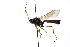  ( - CollHH4154)  @11 [ ] Creative Commons  Attribution Non-Commercial Share-Alike (2024) Hakon Haraldseide Unspecified