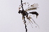  ( - CollHH4161)  @11 [ ] Creative Commons  Attribution Non-Commercial Share-Alike (2024) Hakon Haraldseide Unspecified