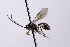  ( - CollHH4179)  @11 [ ] Creative Commons  Attribution Non-Commercial Share-Alike (2024) Hakon Haraldseide Unspecified