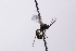  ( - CollHH4182)  @11 [ ] Creative Commons  Attribution Non-Commercial Share-Alike (2024) Hakon Haraldseide Unspecified