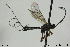  ( - CollHH435)  @13 [ ] Creative Commons  Attribution Non-Commercial Share-Alike (2018) Hakon Haraldseide Unspecified