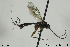  ( - CollHH440)  @12 [ ] Creative Commons  Attribution Non-Commercial Share-Alike (2018) Hakon Haraldseide Unspecified
