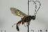  ( - CollHH490)  @13 [ ] Creative Commons  Attribution Non-Commercial Share-Alike (2018) Hakon Haraldseide Unspecified
