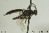  ( - CollHH621)  @13 [ ] Creative Commons  Attribution Non-Commercial Share-Alike (2018) Hakon Haraldseide Unspecified