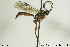  ( - CollHH622)  @13 [ ] Creative Commons  Attribution Non-Commercial Share-Alike (2018) Hakon Haraldseide Unspecified