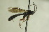  ( - CollHH670)  @13 [ ] Creative Commons  Attribution Non-Commercial Share-Alike (2018) Hakon Haraldseide Unspecified
