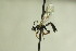 ( - CollHH675)  @11 [ ] Creative Commons  Attribution Non-Commercial Share-Alike (2018) Hakon Haraldseide Unspecified