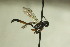  ( - CollHH738)  @14 [ ] Creative Commons  Attribution Non-Commercial Share-Alike (2018) Hakon Haraldseide Unspecified