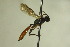  ( - CollHH755)  @13 [ ] Creative Commons  Attribution Non-Commercial Share-Alike (2018) Hakon Haraldseide Unspecified