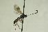  ( - CollHH822)  @12 [ ] Creative Commons  Attribution Non-Commercial Share-Alike (2018) Hakon Haraldseide Unspecified
