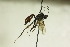  ( - CollHH836)  @13 [ ] Creative Commons  Attribution Non-Commercial Share-Alike (2018) Hakon Haraldseide Unspecified