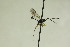  ( - CollHH840)  @12 [ ] Creative Commons  Attribution Non-Commercial Share-Alike (2018) Hakon Haraldseide Unspecified