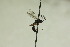  ( - CollHH841)  @12 [ ] Creative Commons  Attribution Non-Commercial Share-Alike (2018) Hakon Haraldseide Unspecified