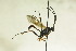  ( - CollHH851)  @13 [ ] Creative Commons  Attribution Non-Commercial Share-Alike (2018) Hakon Haraldseide Unspecified