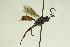  ( - CollHH868)  @13 [ ] Creative Commons  Attribution Non-Commercial Share-Alike (2018) Hakon Haraldseide Unspecified