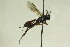  ( - CollHH875)  @13 [ ] Creative Commons  Attribution Non-Commercial Share-Alike (2018) Hakon Haraldseide Unspecified