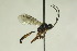  ( - CollHH883)  @14 [ ] Creative Commons  Attribution Non-Commercial Share-Alike (2018) Hakon Haraldseide Unspecified