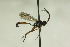  ( - CollHH884)  @13 [ ] Creative Commons  Attribution Non-Commercial Share-Alike (2018) Hakon Haraldseide Unspecified