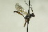  ( - CollHH885)  @13 [ ] Creative Commons  Attribution Non-Commercial Share-Alike (2018) Hakon Haraldseide Unspecified