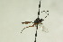  ( - CollHH889)  @12 [ ] Creative Commons  Attribution Non-Commercial Share-Alike (2018) Hakon Haraldseide Unspecified