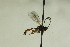  ( - CollHH890)  @12 [ ] Creative Commons  Attribution Non-Commercial Share-Alike (2018) Hakon Haraldseide Unspecified