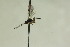  ( - CollHH938)  @12 [ ] Creative Commons  Attribution Non-Commercial Share-Alike (2018) Hakon Haraldseide Unspecified