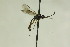  ( - CollHH946)  @14 [ ] Creative Commons  Attribution Non-Commercial Share-Alike (2018) Hakon Haraldseide Unspecified