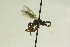  ( - CollHH965)  @12 [ ] Creative Commons  Attribution Non-Commercial Share-Alike (2018) Hakon Haraldseide Unspecified