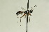  ( - CollHH980)  @12 [ ] Creative Commons  Attribution Non-Commercial Share-Alike (2018) Hakon Haraldseide Unspecified