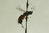  ( - CollHH982)  @12 [ ] Creative Commons  Attribution Non-Commercial Share-Alike (2018) Hakon Haraldseide Unspecified