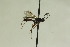 ( - CollHH997)  @12 [ ] Creative Commons  Attribution Non-Commercial Share-Alike (2018) Hakon Haraldseide Unspecified