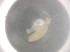  ( - 11598D05_ALGHK0817)  @11 [ ] Unspecified (default): All Rights Reserved  Unspecified Unspecified