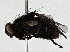  ( - BIOUG91353-G01)  @11 [ ] CreativeCommons - Attribution (2022) CBG Photography Group Centre for Biodiversity Genomics