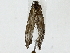  ( - BIOUG91354-H09)  @11 [ ] CreativeCommons - Attribution (2022) CBG Photography Group Centre for Biodiversity Genomics
