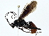  ( - BIOUG91355-D09)  @11 [ ] CreativeCommons - Attribution (2022) CBG Photography Group Centre for Biodiversity Genomics