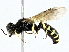  ( - BIOUG91355-E03)  @11 [ ] CreativeCommons - Attribution (2022) CBG Photography Group Centre for Biodiversity Genomics