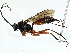  ( - BIOUG91355-G02)  @11 [ ] CreativeCommons - Attribution (2022) CBG Photography Group Centre for Biodiversity Genomics